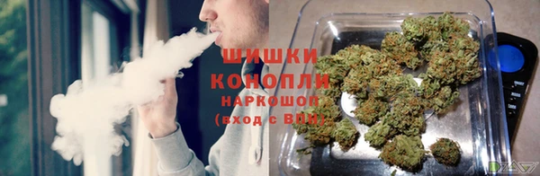 ГАЛЛЮЦИНОГЕННЫЕ ГРИБЫ Медвежьегорск