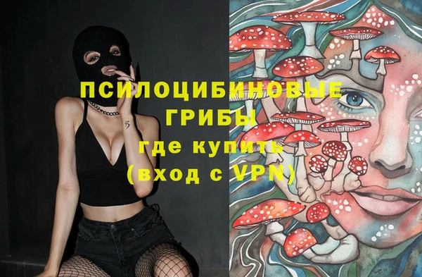 ГАЛЛЮЦИНОГЕННЫЕ ГРИБЫ Медвежьегорск