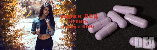 ГАЛЛЮЦИНОГЕННЫЕ ГРИБЫ Медвежьегорск