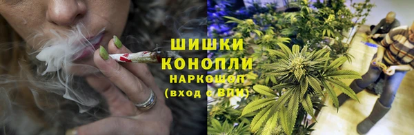 ГАЛЛЮЦИНОГЕННЫЕ ГРИБЫ Медвежьегорск